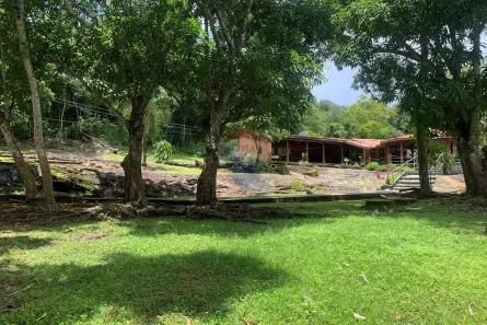 Fazenda/Sítio à venda, 728000m² no Santos Dumont, Redenção
