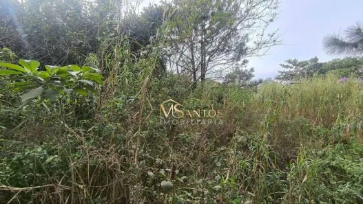 Lote/Terreno à venda, 1000m² no São João do Rio Vermelho, Florianópolis