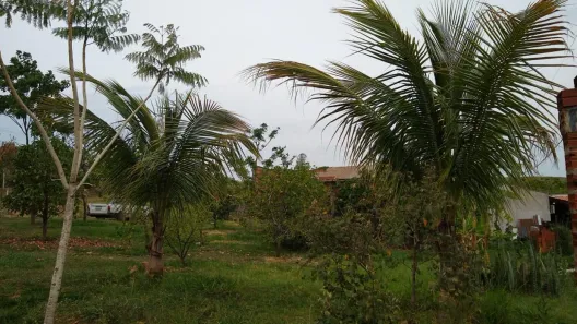 Fazenda/Sítio com 2 Quartos à venda, 154m² no Álvares Machado, Álvares Machado