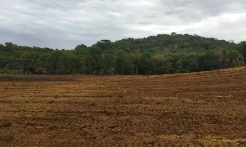 Lote/Terreno à venda, 20000m² no Área Rural de Almirante Tamandaré, Almirante Tamandaré