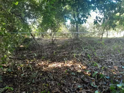 Lote/Terreno à venda, 200m² no Jardim das Margaridas, Salvador