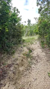 Lote/Terreno à venda, 938m² no , Pirambu
