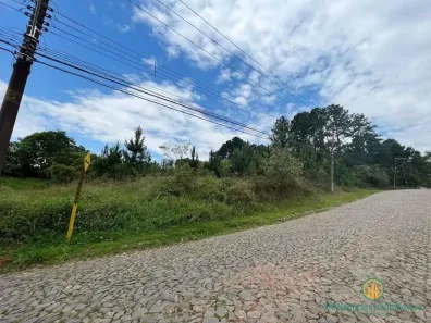 Lote/Terreno à venda, 4973m² no Paisagem Renoir, Cotia