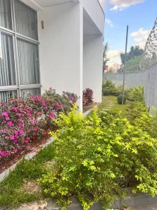 Prédio Comercial para alugar, 698m² no Santa Maria, Santo André