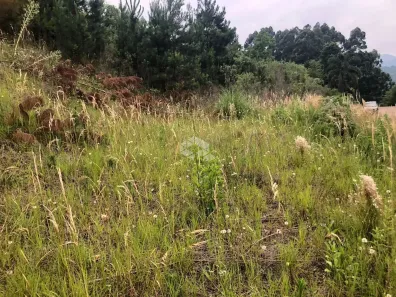 Lote/Terreno à venda, 629m² no , Nova Petrópolis