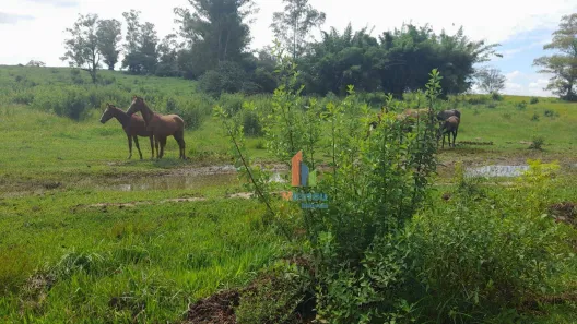Lote/Terreno à venda, 78301m² no Chácara Cruzeiro do Sul, Sumaré