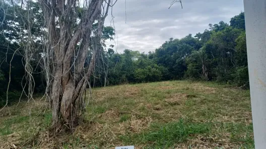 Lote/Terreno à venda, 1000m² no Loteamento Praia Baia Formosa, Armação dos Búzios