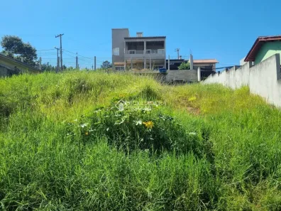 Lote/Terreno à venda, 250m² no Colina, Guaíba