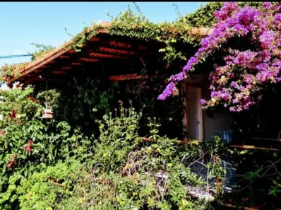 Flat com 1 Quarto para alugar, 35m² no Candelária, Natal