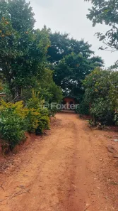 Fazenda/Sítio com 3 Quartos à venda, 156m² no Pitinga, Porto Alegre
