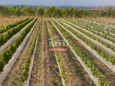 Fazenda/Sítio à venda, 1m² no , Cocalzinho de Goiás