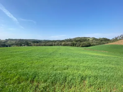Fazenda/Sítio à venda, 95685m² no Campo Novo, Campo Magro