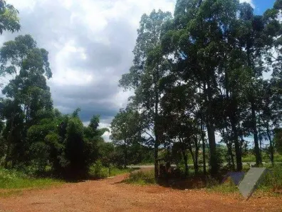 Fazenda/Sítio à venda, 10000m² no Loteamento Jardim Real, Guaraniaçu