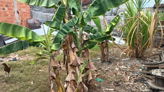 Lote/Terreno à venda, 100m² no Tabuleiro do Martins, Maceió