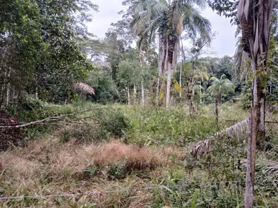 Lote/Terreno à venda, 1400m² no Chácara Glória, Itanhaém
