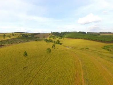 Fazenda/Sítio à venda, 367840m² no , Itirapina