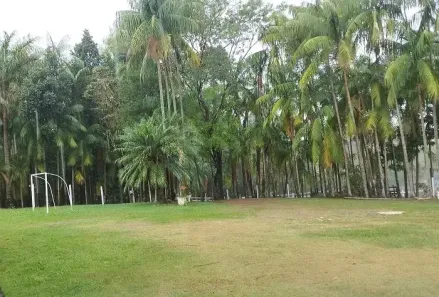 Fazenda/Sítio à venda, 36300m² no Centro, Mandaguari
