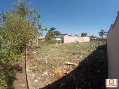 Imóvel Comercial à venda, 960m² no Vila Virgínia, Ribeirão Preto