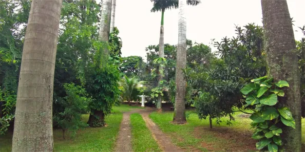 Fazenda/Sítio com 3 Quartos à venda, 1933m² no Ondas, Piracicaba