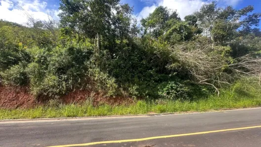 Lote/Terreno à venda, 487m² no Salvaterra, Juiz de Fora