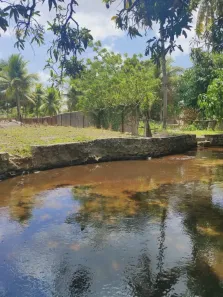Fazenda/Sítio com 3 Quartos à venda, 15000m² no , São José de Mipibu