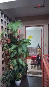 Apartamento com 2 Quartos à venda, 42m² no Conjunto Habitacional CAIC, São José do Rio Preto