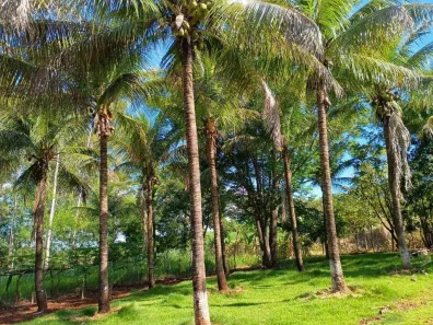 Fazenda/Sítio à venda, 22m² no Setor 1, Ibiporã