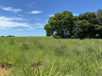 Fazenda/Sítio à venda, 8712000m² no , Mundo Novo