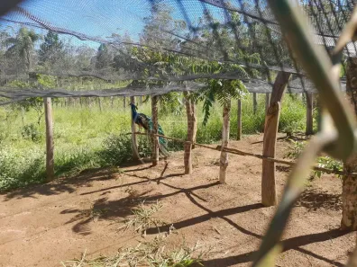 Fazenda/Sítio com 3 Quartos à venda, 10m² no Engenheiro Marsilac, São Paulo