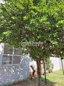 Casa de Condomínio com 4 Quartos para alugar, 190m² no Parque Taquaral, Campinas