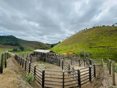 Fazenda/Sítio com 4 Quartos à venda, 700000m² no Centro, Juiz de Fora