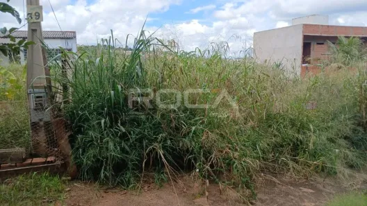 Lote/Terreno à venda, 250m² no Jardim das Torres Prolongamento, São Carlos