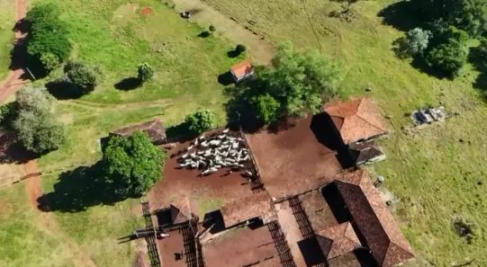 Fazenda/Sítio com 5 Quartos à venda, 1459m² no , Jussara
