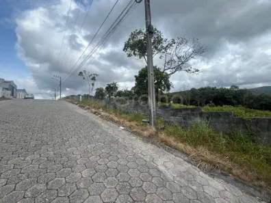 Lote/Terreno à venda, 577m² no Forquilhas, São José