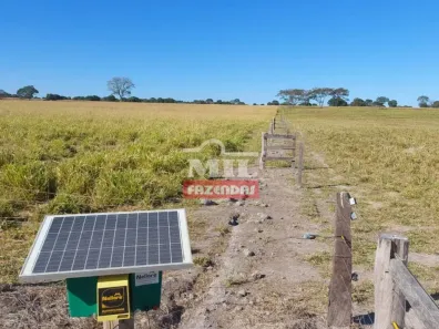 Fazenda/Sítio à venda, 500m² no , Baianópolis