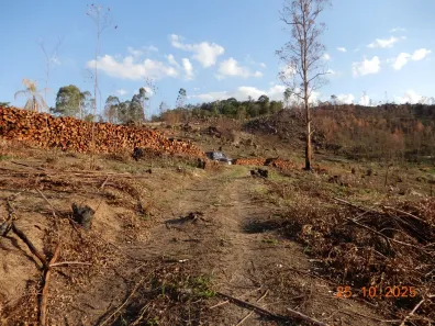 Fazenda/Sítio à venda, 30132m² no Área Rural de Amparo, Amparo