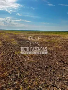 Fazenda/Sítio à venda, 21900000m² no , Serra Nova Dourada