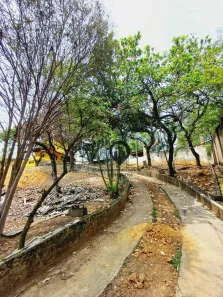 Fazenda/Sítio com 2 Quartos à venda, 700m² no Campo Lindo, Seropédica