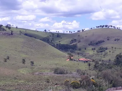 Fazenda/Sítio à venda, 20000m² no , Caeté