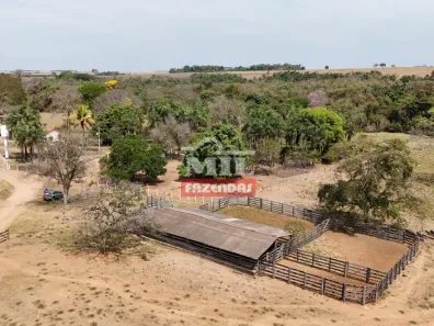 Fazenda/Sítio à venda, 1m² no , Cezarina