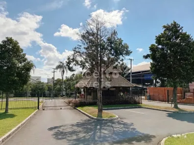 Casa de Condomínio com 4 Quartos à venda, 268m² no Orfãs, Ponta Grossa