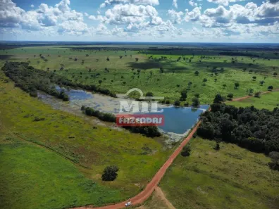 Fazenda/Sítio à venda, 27646080m² no , Pium