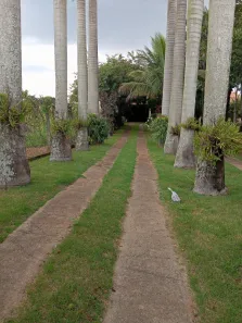 Fazenda/Sítio com 1 Quarto à venda, 200m² no Loiolas, Limeira