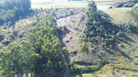 Fazenda/Sítio à venda, 20000m² no , Triunfo