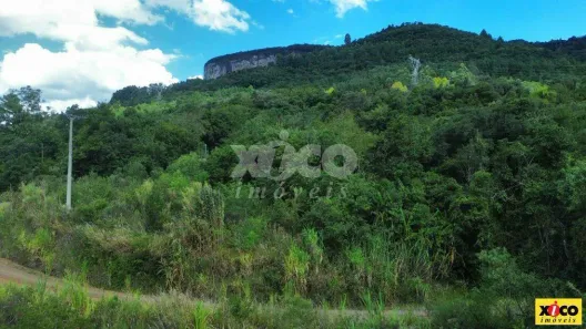 Lote/Terreno à venda, 5000m² no , Nova Petrópolis