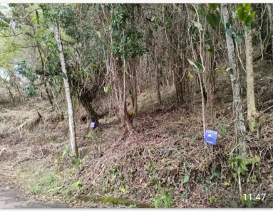 Lote/Terreno à venda, 376m² no Frade (Cunhambebe), Angra dos Reis