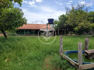 Fazenda/Sítio com 3 Quartos à venda, 46m² no , Alto Paraguai