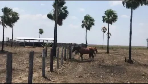 Fazenda/Sítio à venda, 8000000m² no Área Rural de Corumbá, Corumbá