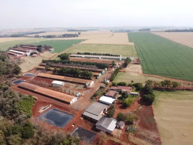 com 3 Quartos à venda, 16m² no Área Rural de Toledo, Santa Cruz de Monte Castelo