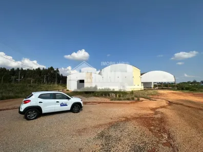 Galpão/Depósito/Armazém para alugar, 8100m² no Cará-cará, Ponta Grossa